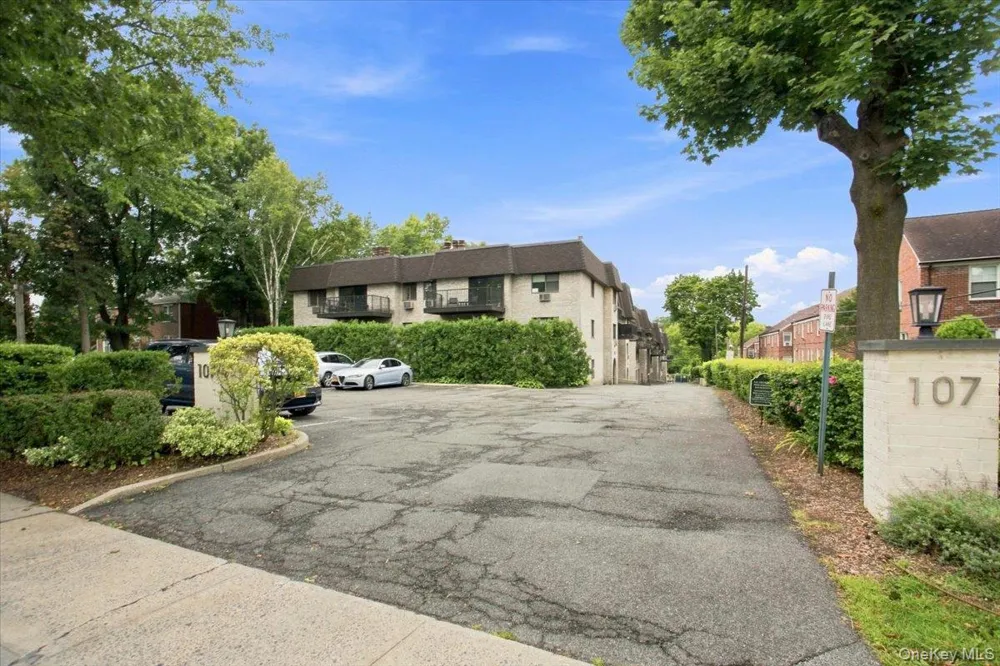 107 Broadway #205B White Plains, NY 10603
