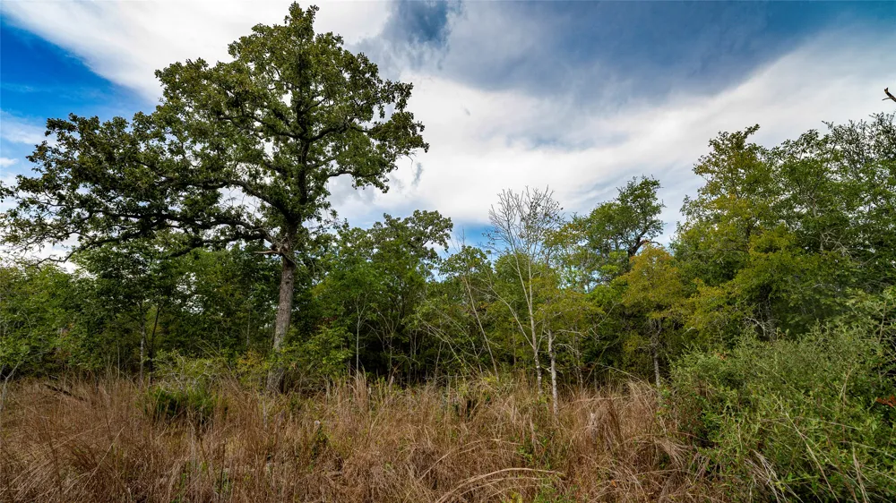 CR 405 Buckholts, TX 76518