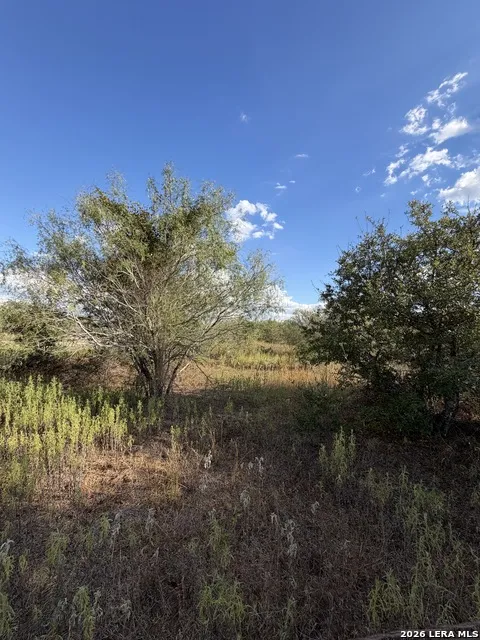 TRACT #4 Elm Creek Rd Seguin, TX 78155