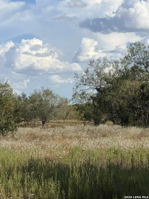 TRACT #4 Elm Creek Rd Seguin, TX 78155