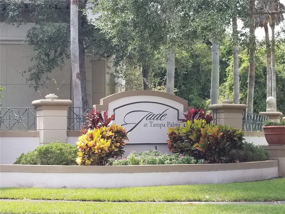 17102 CARRINGTON PARK DRIVE #313 Tampa, FL 33647