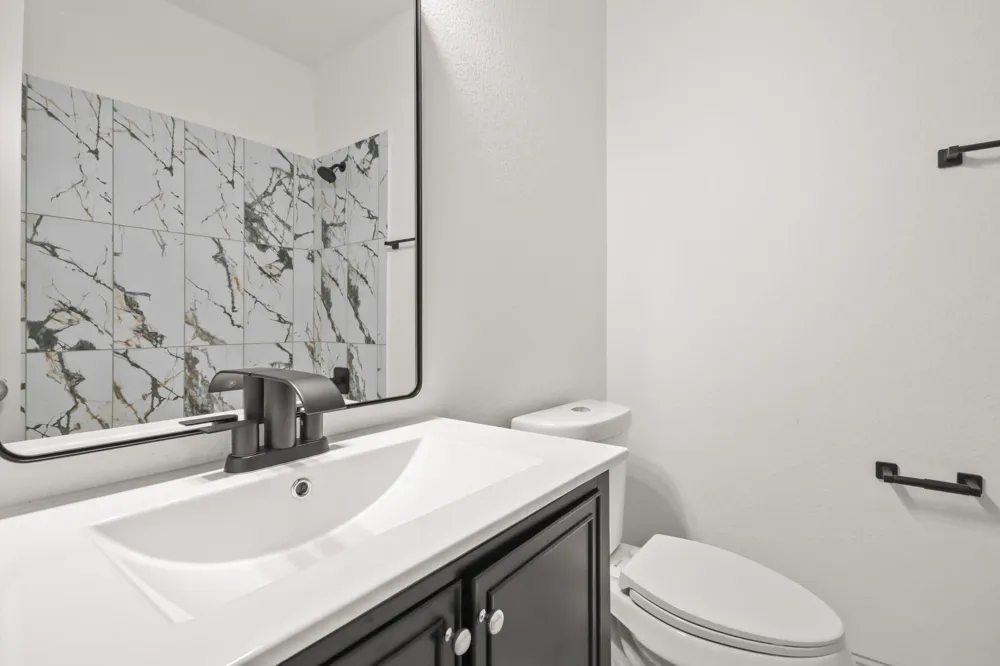 71 Black Swan Place Magnolia, TX 77354