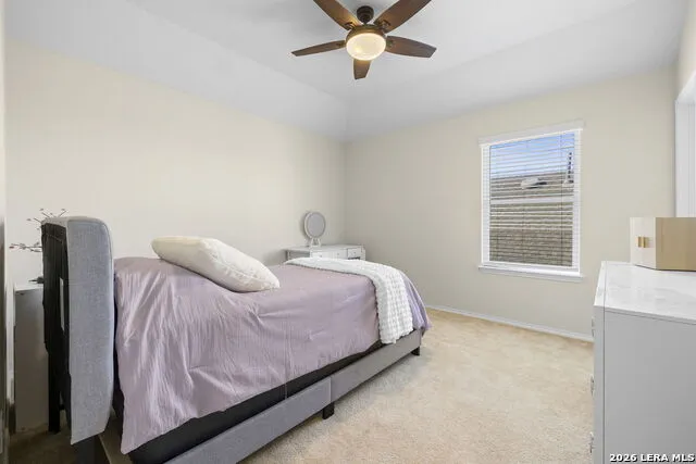 2182 Indigobush Drive New Braunfels, TX 78132