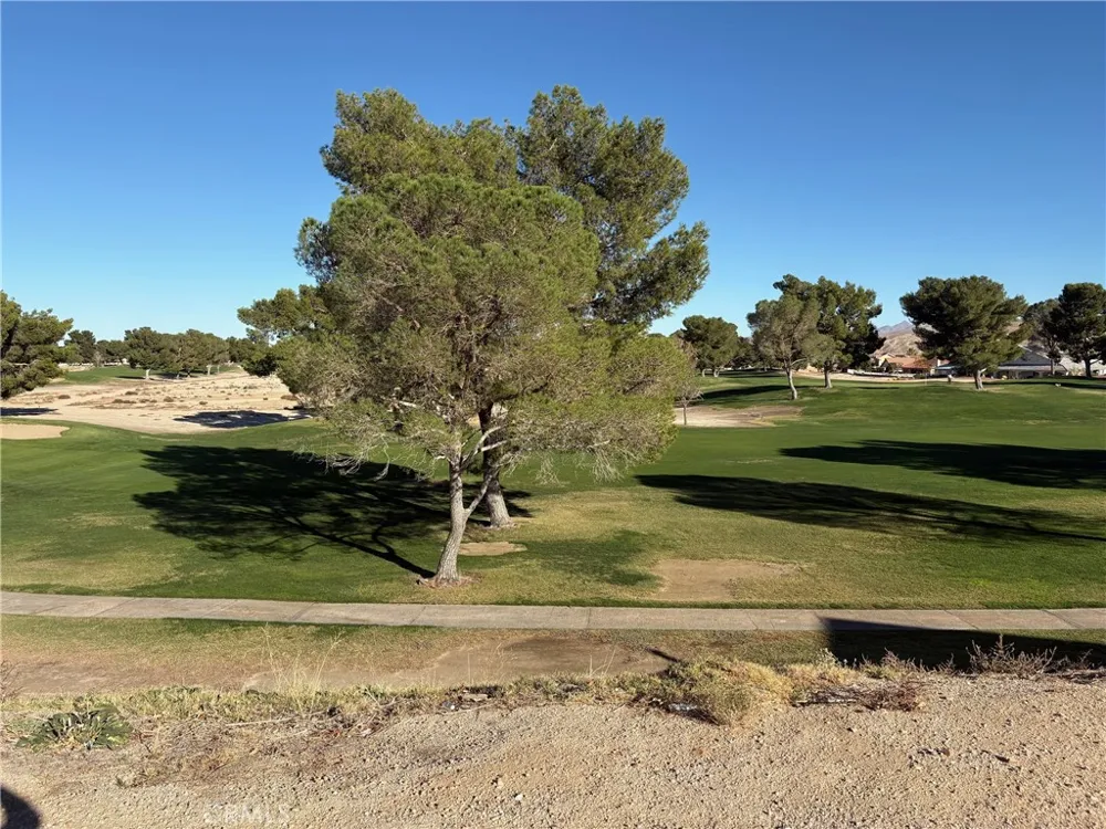 27449 Lakeview Helendale, CA 92342