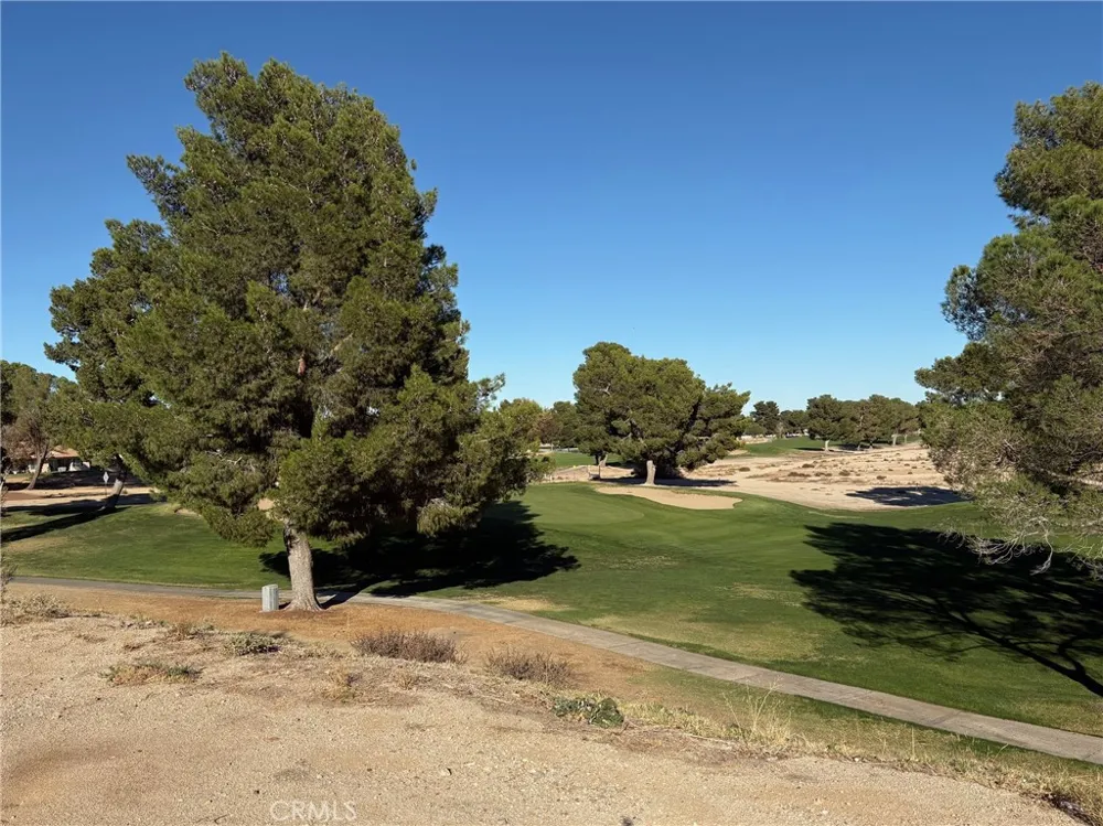 27449 Lakeview Helendale, CA 92342