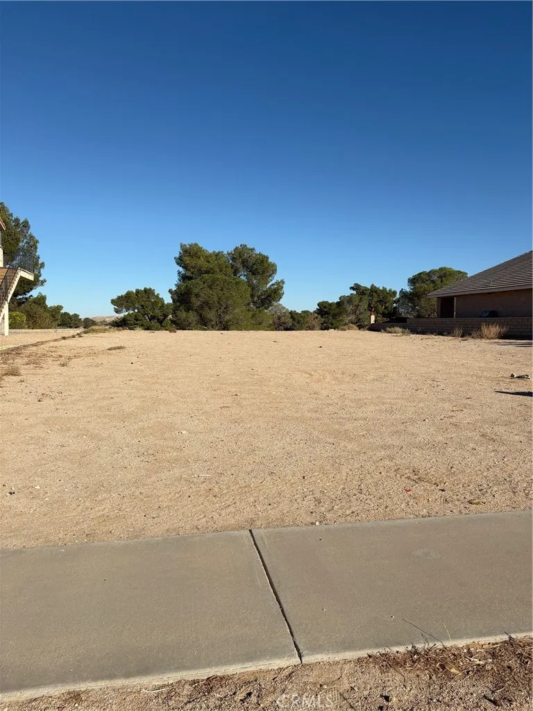 27449 Lakeview Helendale, CA 92342