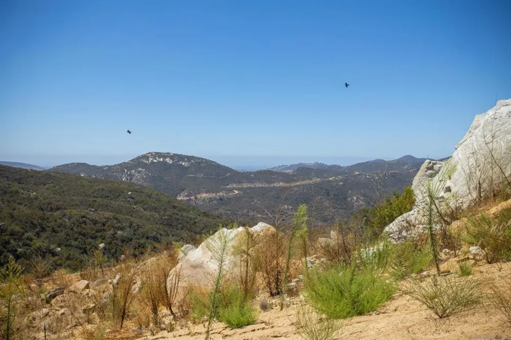 10011 Tall Oak Dr Escondido, CA 92026