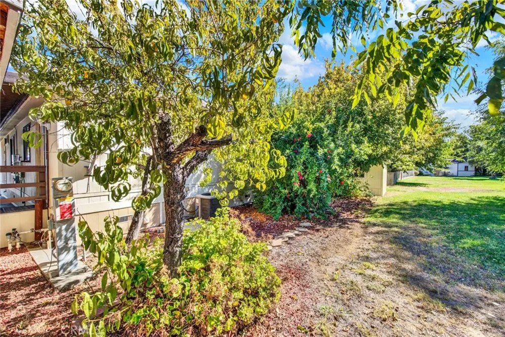 3835 GARDINER FERRY RD #17 Corning, CA 96021