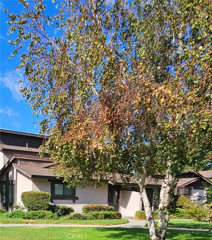 7552 Corbin Avenue #4 Reseda, CA 91335