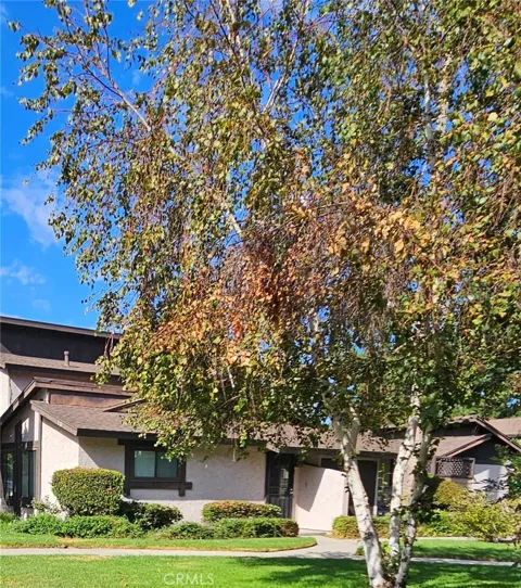 7552 Corbin Avenue #4