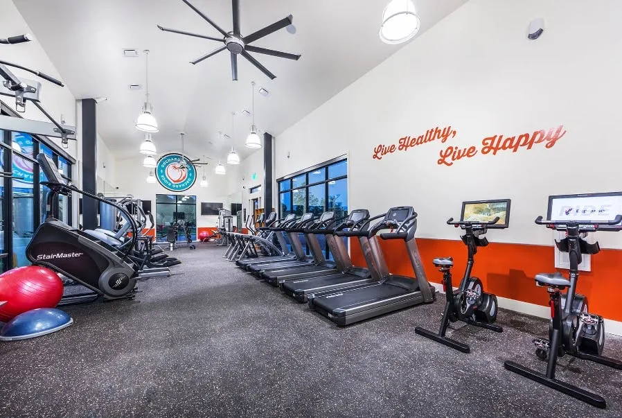 104 Peach Flat Court Georgetown, TX 78628