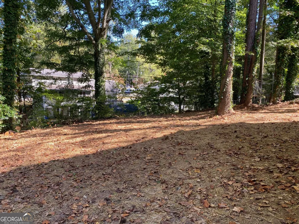 1413 Silver Lake DR Norcross, GA 30093