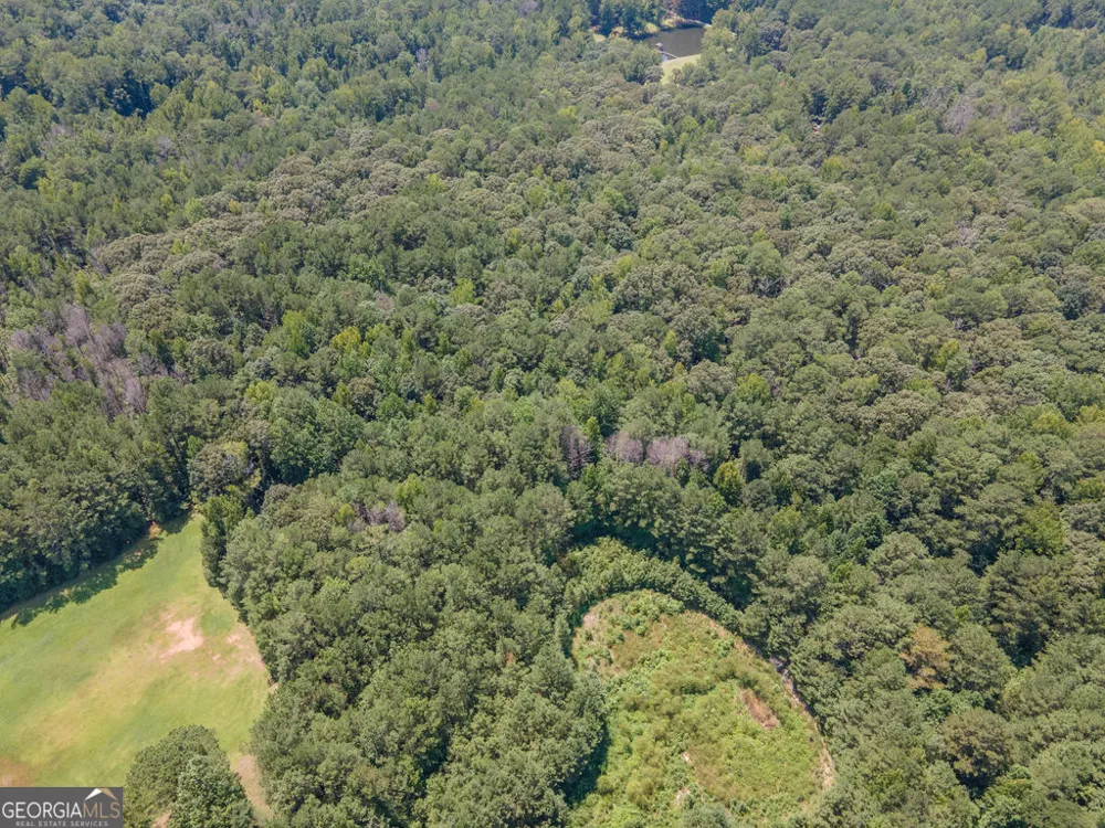 0 Rivertown RD Chattahoochee Hills, GA 30268