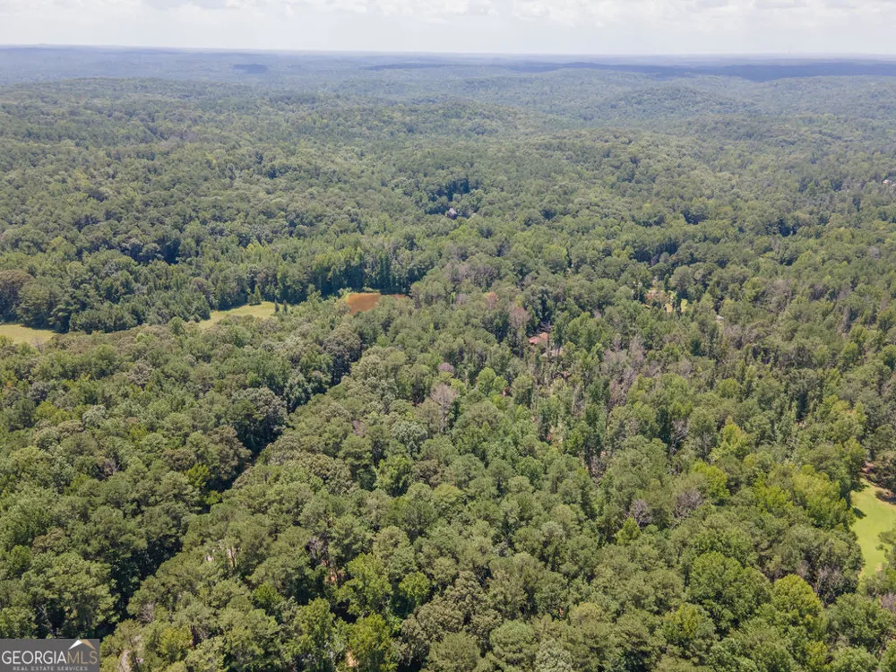 0 Rivertown RD Chattahoochee Hills, GA 30268