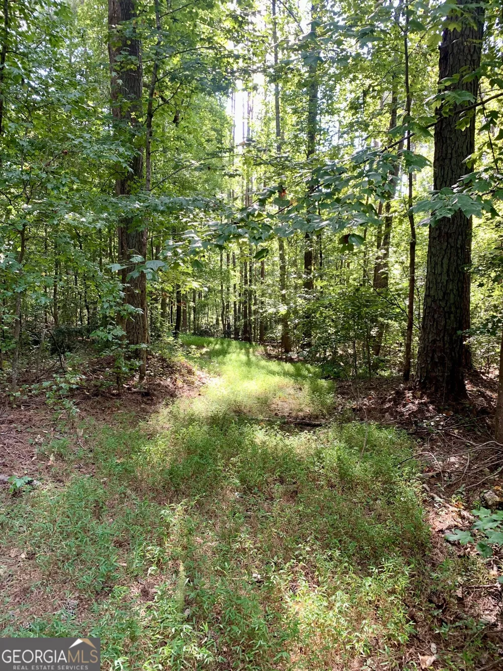 0 Rivertown RD Chattahoochee Hills, GA 30268