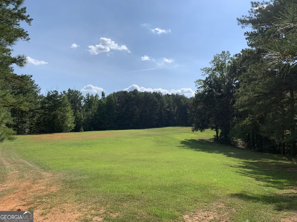 0 Rivertown RD Chattahoochee Hills, GA 30268