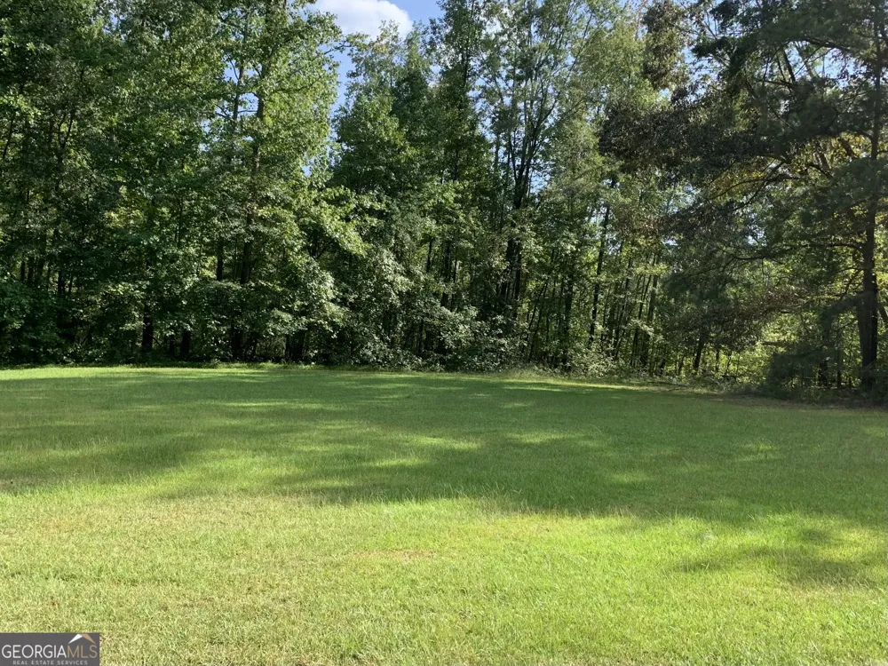 0 Rivertown RD Chattahoochee Hills, GA 30268