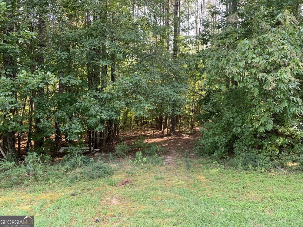 0 Rivertown RD Chattahoochee Hills, GA 30268