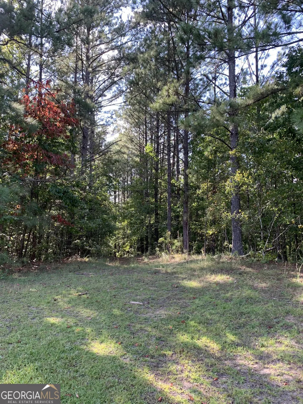 0 Rivertown RD Chattahoochee Hills, GA 30268