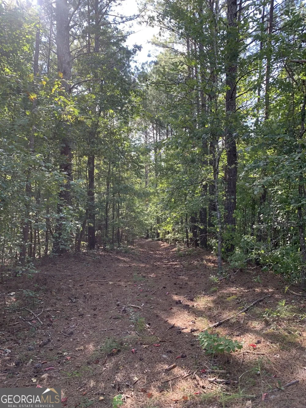 0 Rivertown RD Chattahoochee Hills, GA 30268