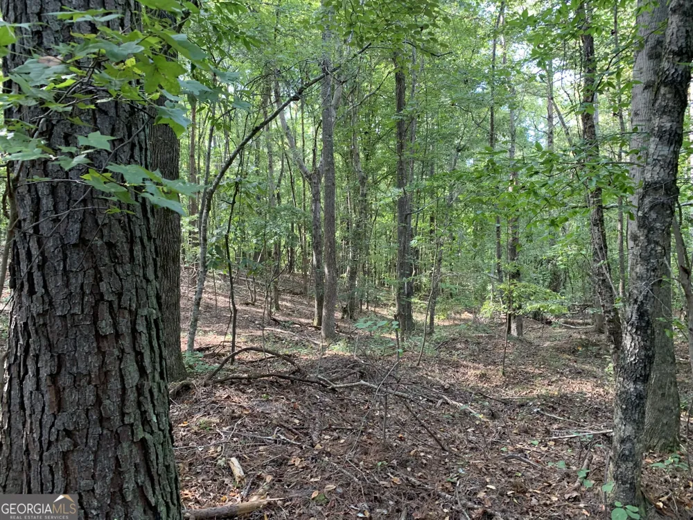 0 Rivertown RD Chattahoochee Hills, GA 30268