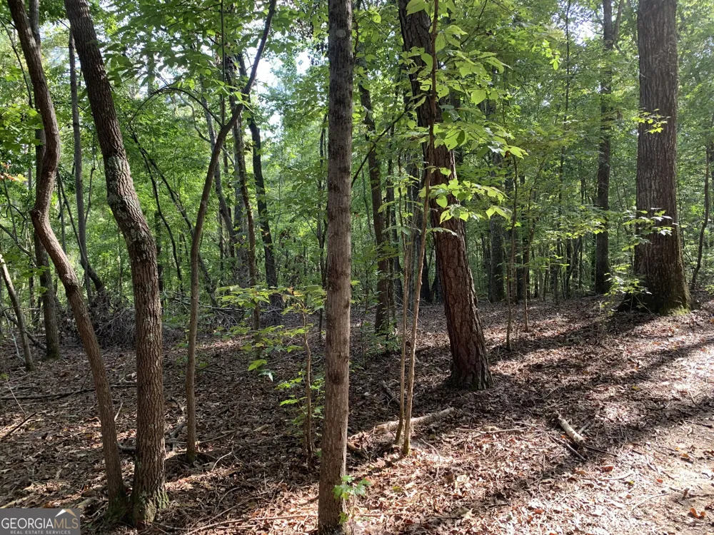 0 Rivertown RD Chattahoochee Hills, GA 30268