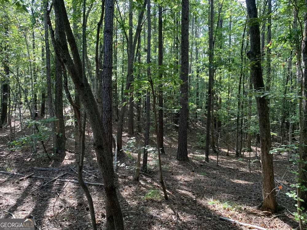 0 Rivertown RD Chattahoochee Hills, GA 30268