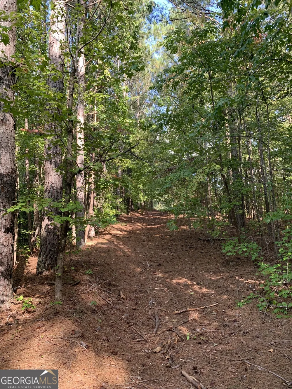 0 Rivertown RD Chattahoochee Hills, GA 30268