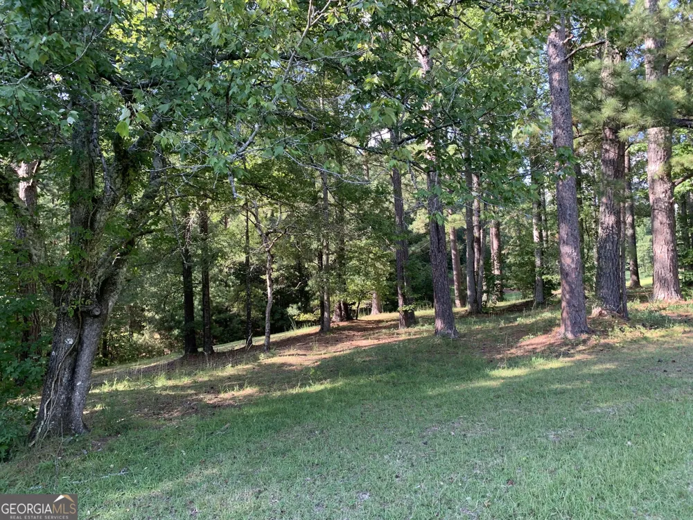 0 Rivertown RD Chattahoochee Hills, GA 30268