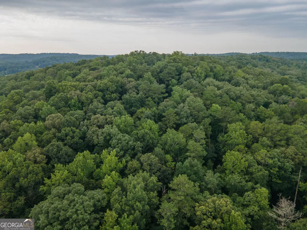0 Brazell RD Chattahoochee Hills, GA 30268