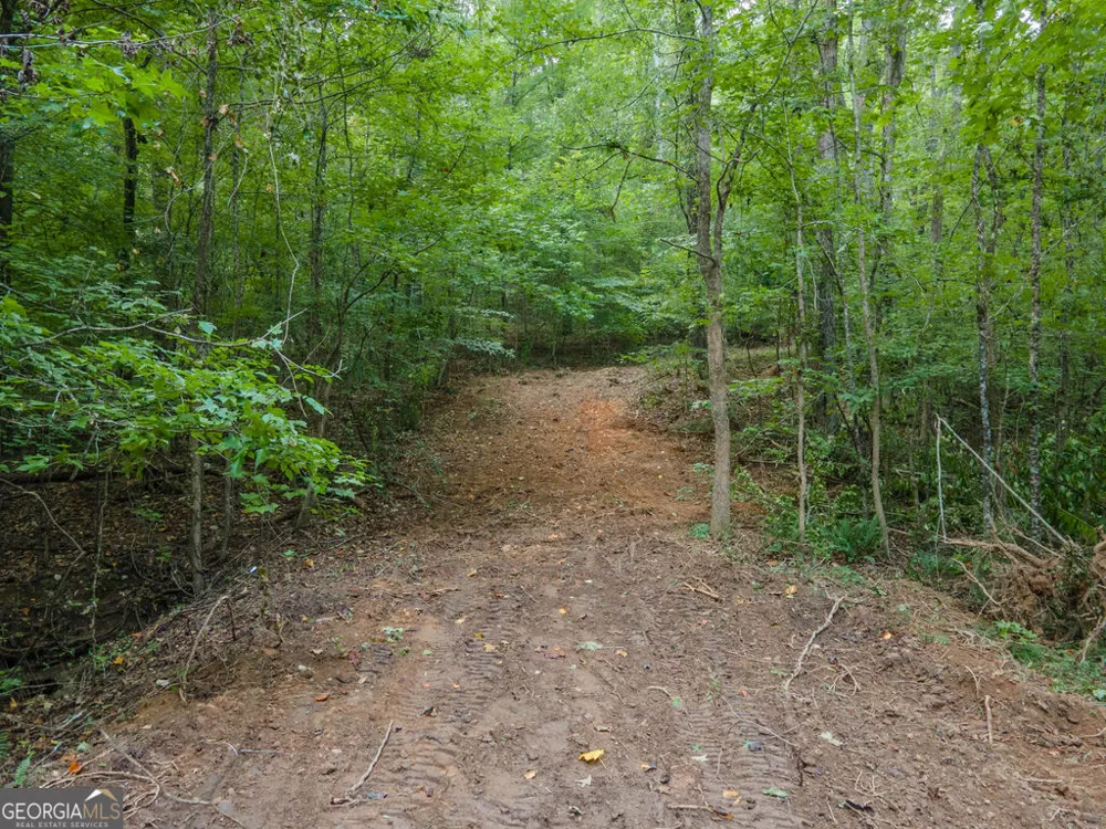 0 Brazell RD Chattahoochee Hills, GA 30268