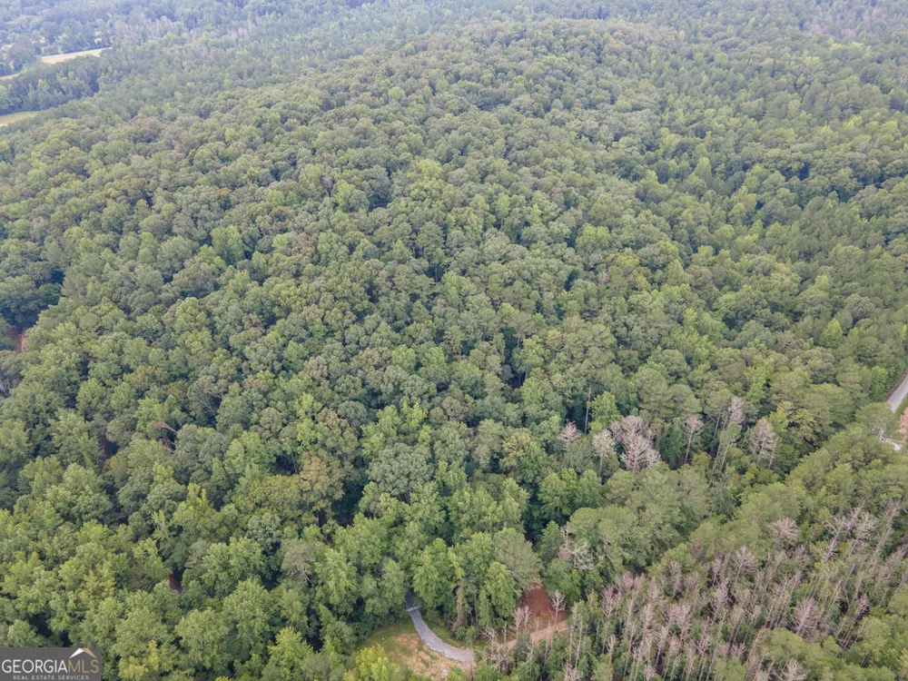 0 Brazell RD Chattahoochee Hills, GA 30268