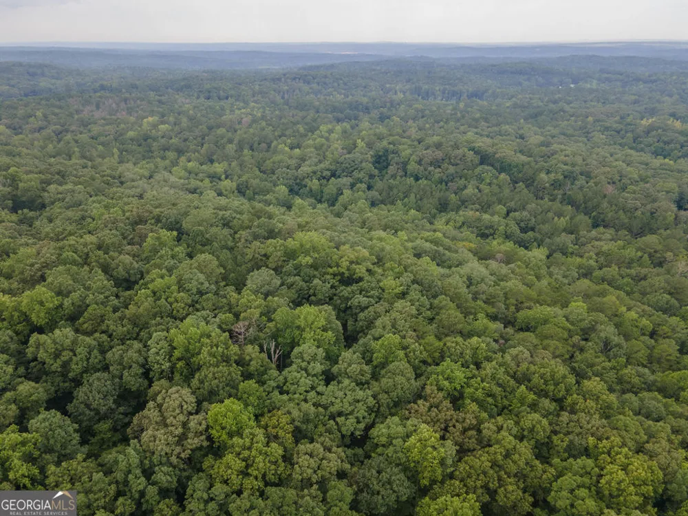 0 Brazell RD Chattahoochee Hills, GA 30268