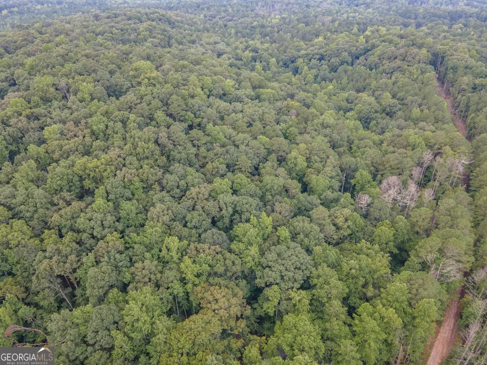0 Brazell RD Chattahoochee Hills, GA 30268