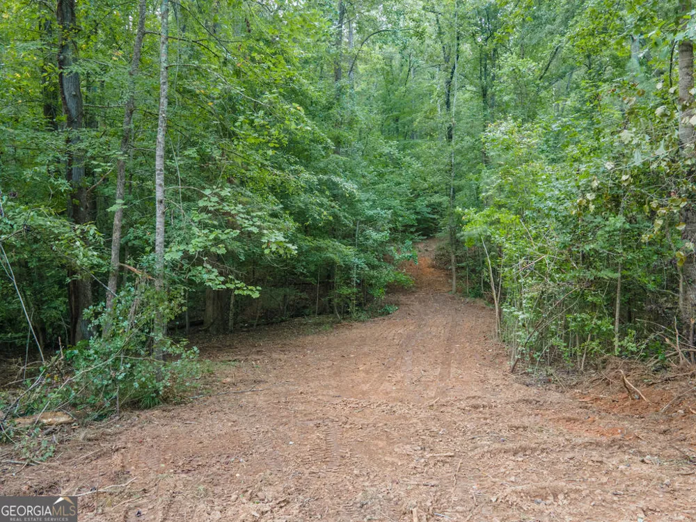 0 Brazell RD Chattahoochee Hills, GA 30268