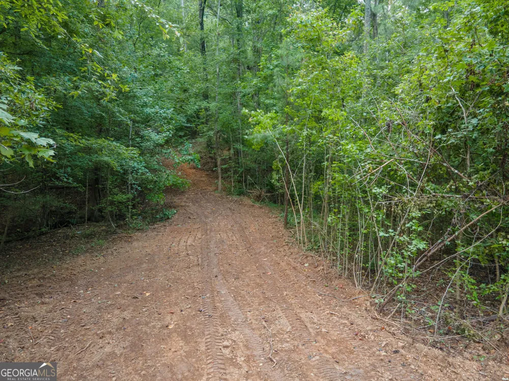 0 Brazell RD Chattahoochee Hills, GA 30268