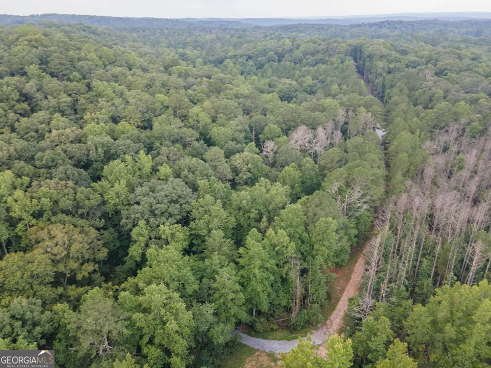 0 Brazell RD Chattahoochee Hills, GA 30268