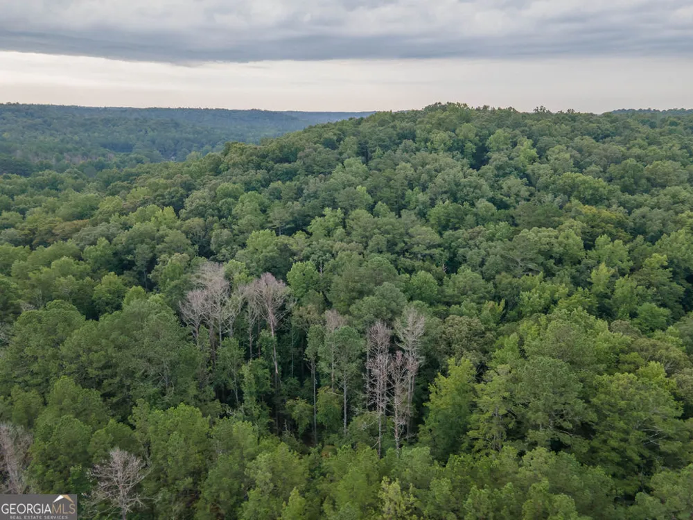 0 Brazell RD Chattahoochee Hills, GA 30268
