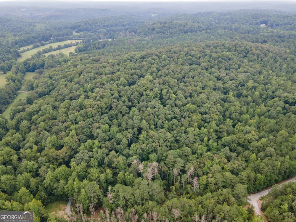 0 Brazell RD Chattahoochee Hills, GA 30268