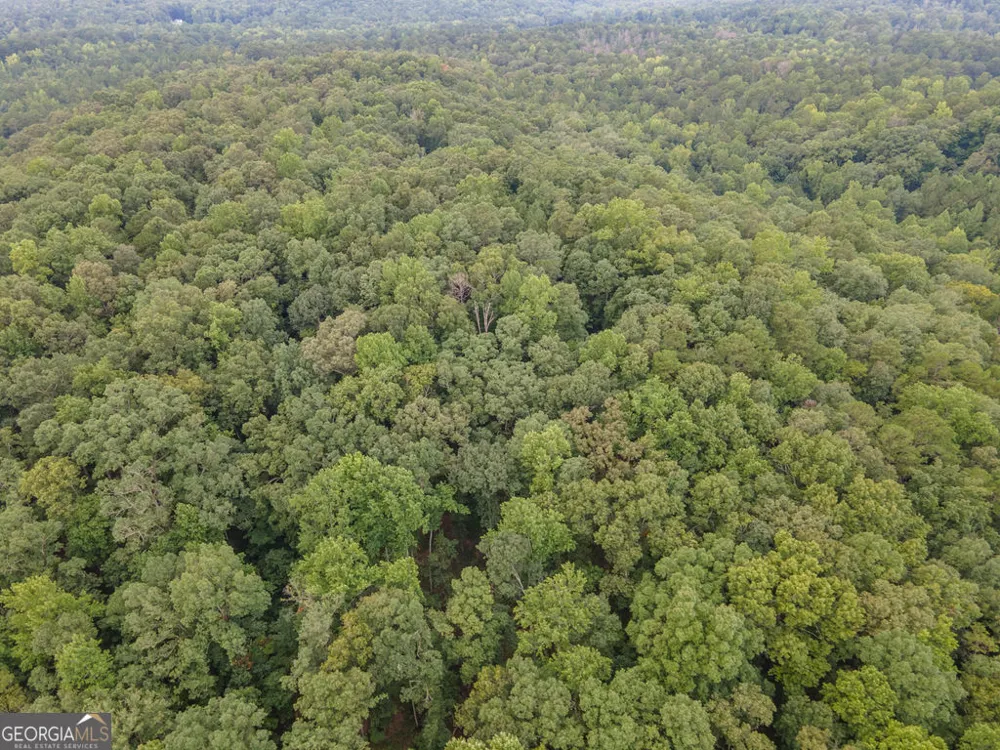0 Brazell RD Chattahoochee Hills, GA 30268