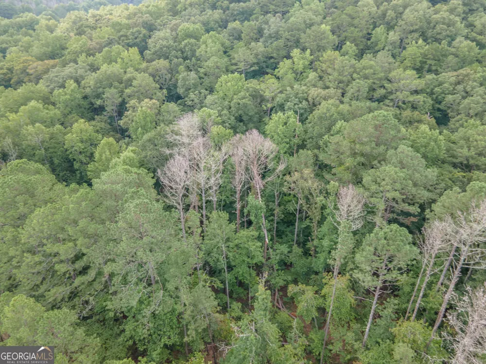 0 Brazell RD Chattahoochee Hills, GA 30268