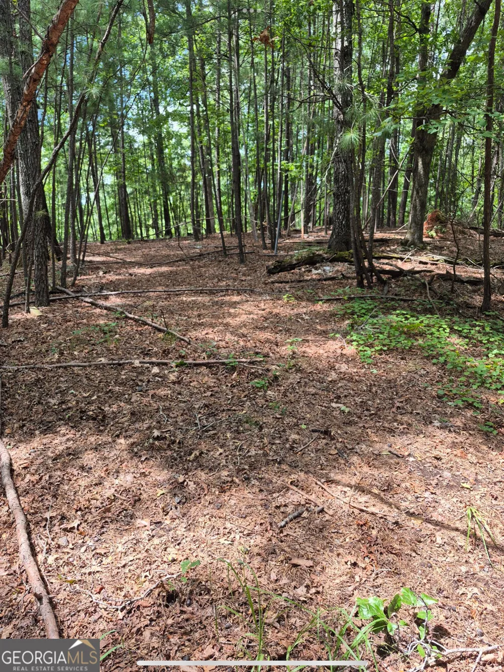 0 Brazell RD Chattahoochee Hills, GA 30268
