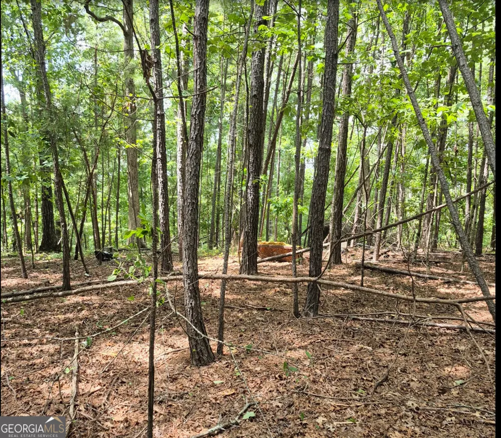 0 Brazell RD Chattahoochee Hills, GA 30268