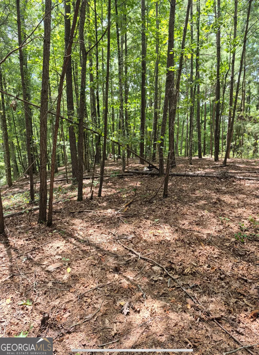 0 Brazell RD Chattahoochee Hills, GA 30268