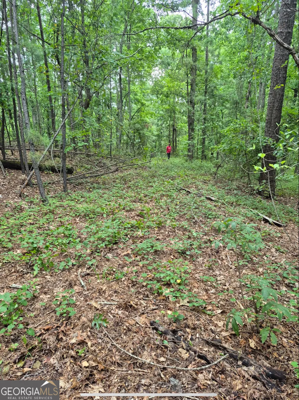0 Brazell RD Chattahoochee Hills, GA 30268