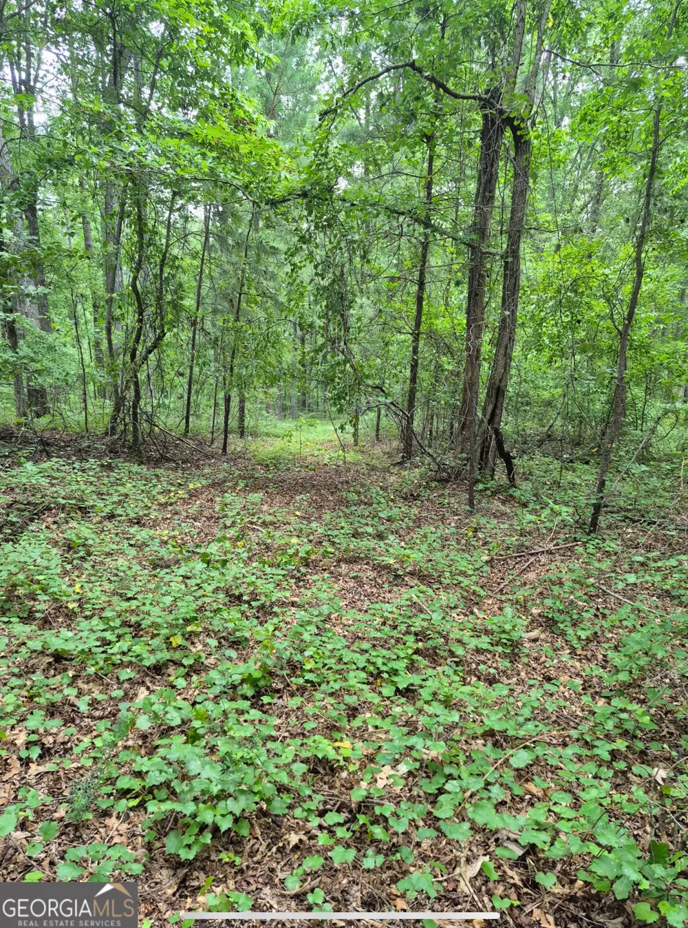 0 Brazell RD Chattahoochee Hills, GA 30268