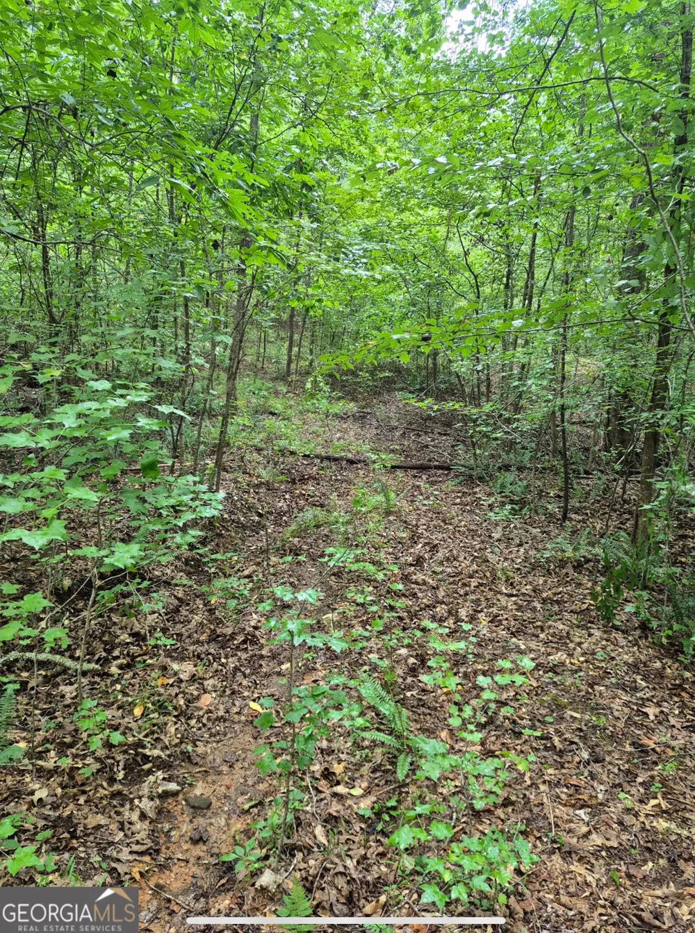 0 Brazell RD Chattahoochee Hills, GA 30268