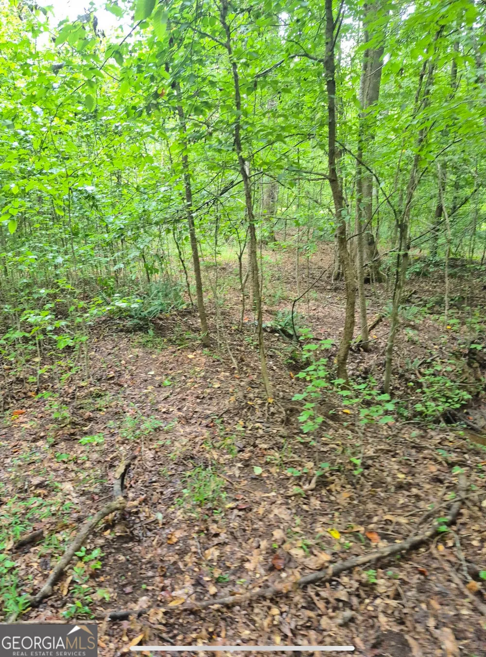 0 Brazell RD Chattahoochee Hills, GA 30268