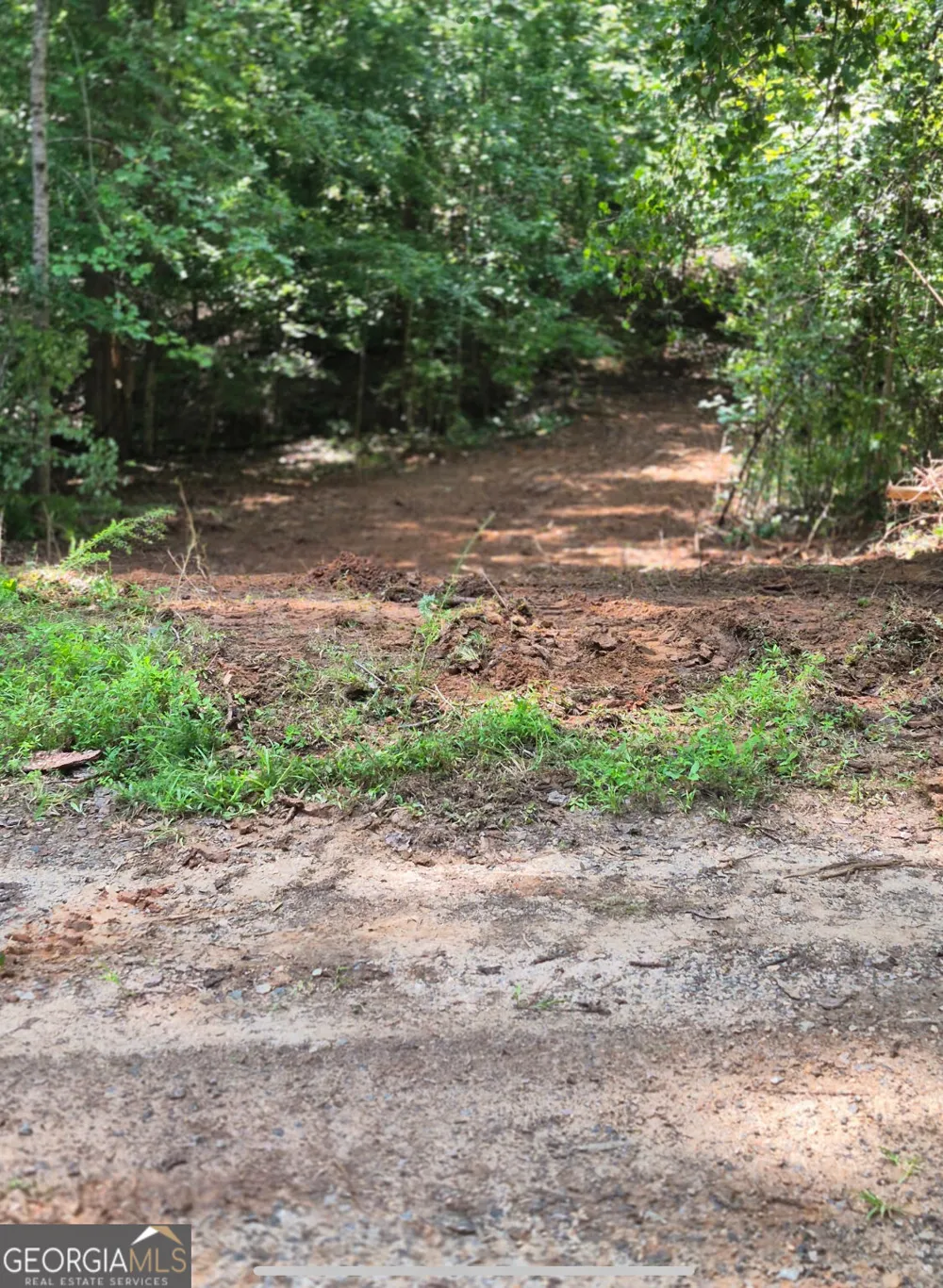 0 Brazell RD Chattahoochee Hills, GA 30268