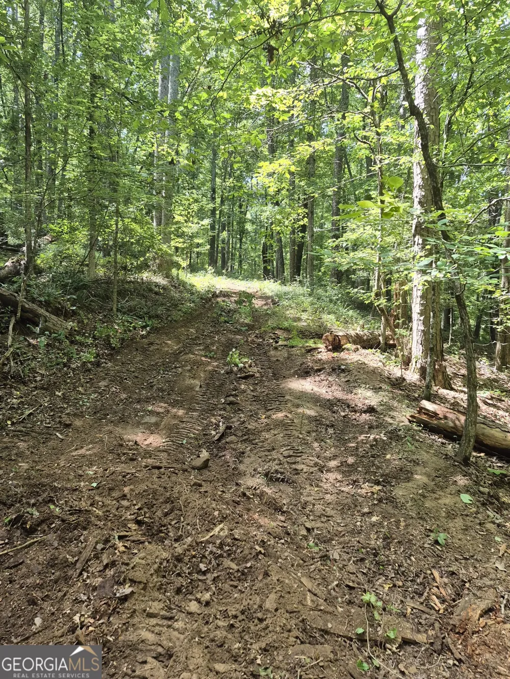 0 Brazell RD Chattahoochee Hills, GA 30268